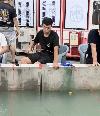 阿棋