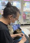 尼歐